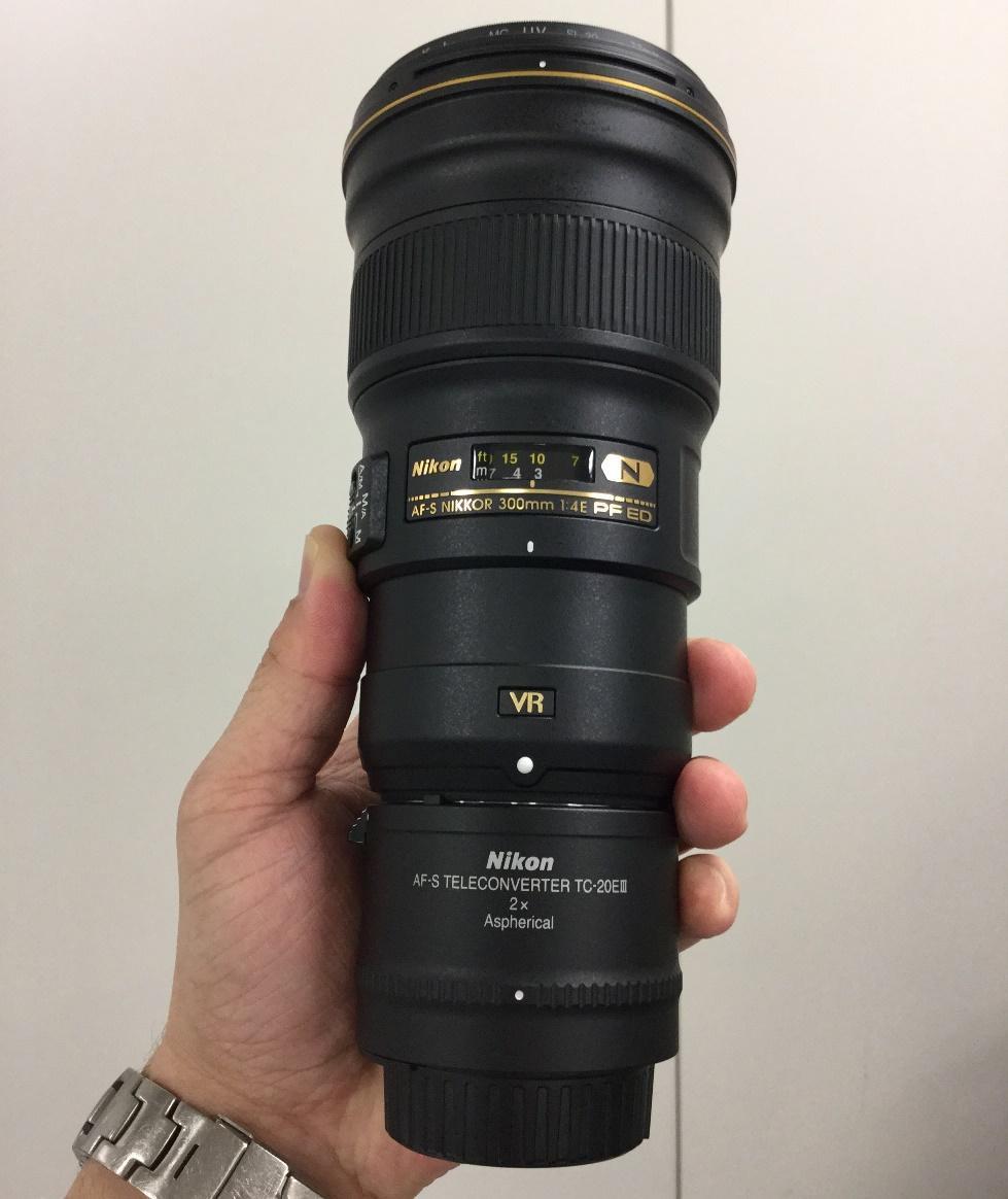 NIKKOR 300mm F/4E PFにx2テレコンで600mm/F8: カメラ専用機で NIKKOR 300mm F/4E PFにx2テレコンで600mm/F8: カメラ専用機で